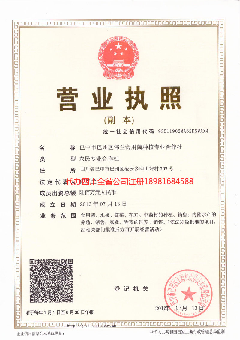 吐鲁番吐鲁番伟兰食用菌种植专业合作社